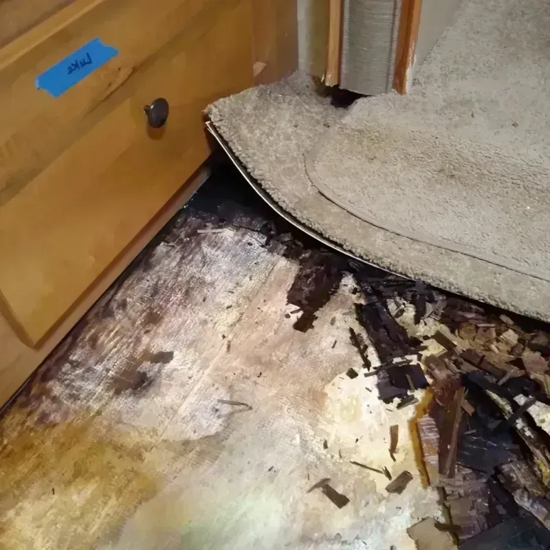 Wood Floor Water Damage in Aurora, TX